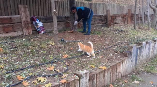 BATTALGAZİ BELEDİYESİ CAN DOSTLARINI UNUTMADI