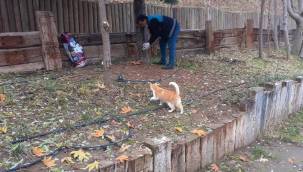 BATTALGAZİ BELEDİYESİ CAN DOSTLARINI UNUTMADI