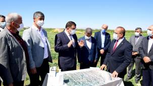 SÜTLÜCE, DİLEK VE TOPRAKTEPE'DE ÇALIŞMALARI İNCELEYEN BAŞKAN GÜRKAN;