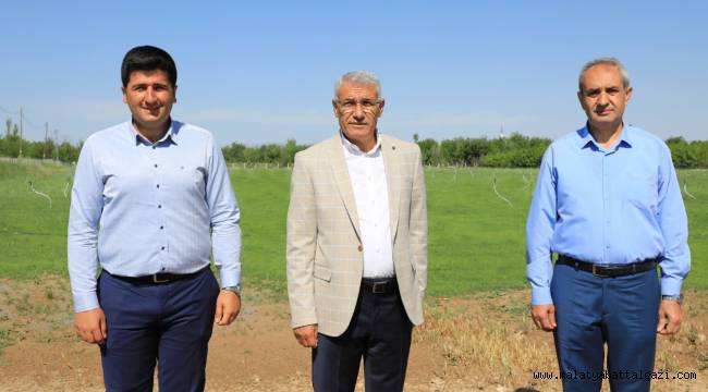  BATTALGAZİ BELEDİYESİ 'RULO ÇİM ÜRETİM TESİSİ' KURDU