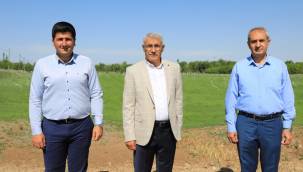  BATTALGAZİ BELEDİYESİ 'RULO ÇİM ÜRETİM TESİSİ' KURDU