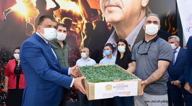 DONDAN ZARAR GÖREN MALATYA'LI ÇİFTÇİLERE BÜYÜKŞEHİR BELEDİYESİNDEN SEBZE FİDESİ DESTEĞİ