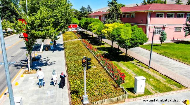 MALATYA PARKLARINI YAZLIK ÇİÇEKLER SÜSLÜYOR