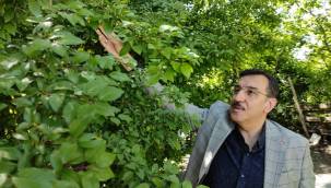 Tüfenkci gündemi değerlendirdi