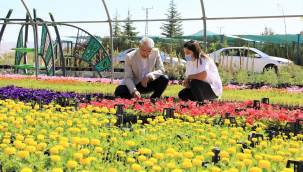  BATTALGAZİ HER MEVSİM ÇİÇEK KOKUYOR