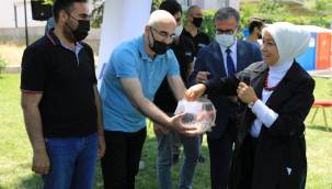 GELİNCİK TEPESİ'NDE 678 KONUT HAK SAHİPLERİNE TESLİM EDİLDİ