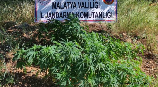 Malatya İl Jandarma Komutanlığınca yapılan istihbari çalışmalar neticesinde,