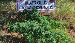 Malatya İl Jandarma Komutanlığınca yapılan istihbari çalışmalar neticesinde,