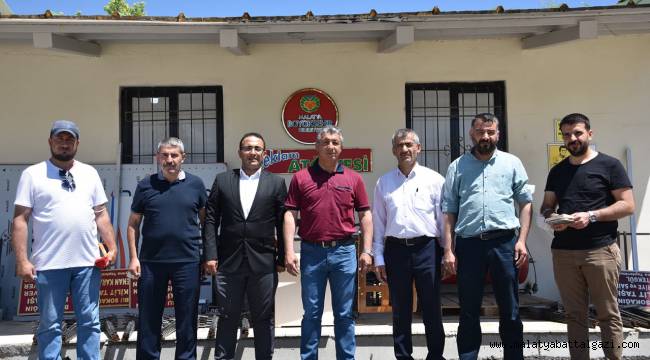 Şehir Mezarlığı'nda incelemelerde bulundular