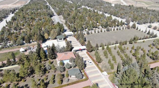 ŞEHİR MEZARLIĞINDA PEYZAJ ÇALIŞMASI YAPILIYOR