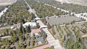 ŞEHİR MEZARLIĞINDA PEYZAJ ÇALIŞMASI YAPILIYOR