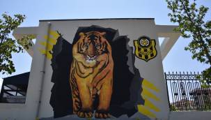 MALATYA CADDE VE SOKAKLARI RESİMLERLE GÜZELLEŞİYOR