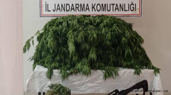 Malatya İl Jandarma Komutanlığınca yapılan istihbari çalışmalar neticesinde