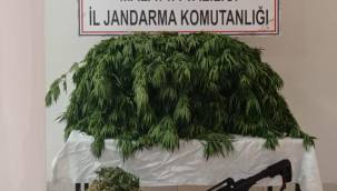 Malatya İl Jandarma Komutanlığınca yapılan istihbari çalışmalar neticesinde