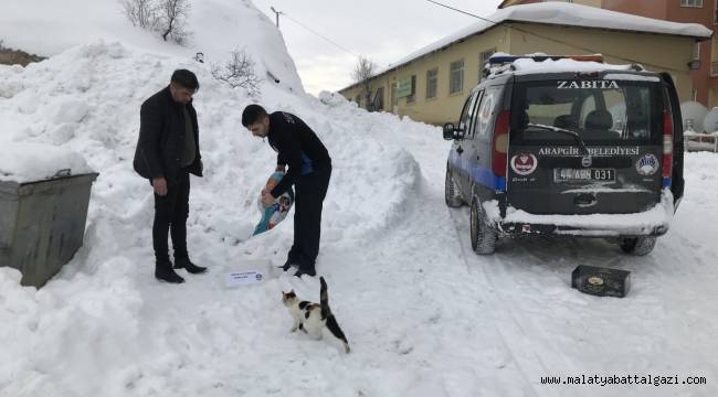 Arapgir Belediyesi elverişsiz hava şartlarında sokak hayvanlarını besliyor