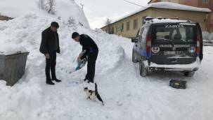 Arapgir Belediyesi elverişsiz hava şartlarında sokak hayvanlarını besliyor