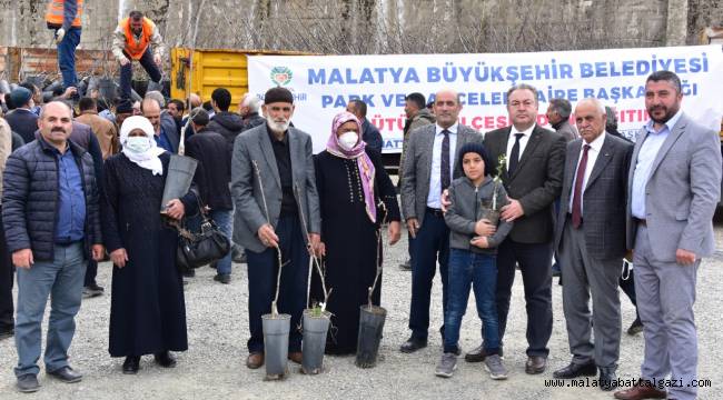BÜYÜKŞEHİR BELEDİYESİ TARAFINDAN PÜTÜRGE'DE FİDAN DAĞITIMI YAPILDI