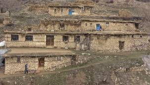 KAYISI ÇİÇEĞİ ŞENLİĞİ FOTOĞRAF YARIŞMASI TAMAMLANDI FOTOĞRAFÇILAR MARATONUNDA DERECEYE GİRENLERE ÖDÜLLERİ VERİLDİ